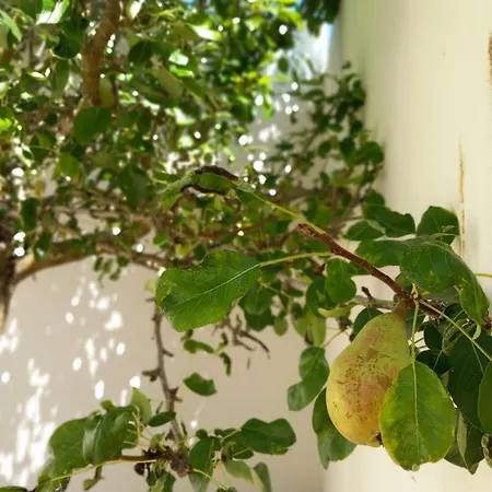 Bright And Spacious With Patio And Bbq